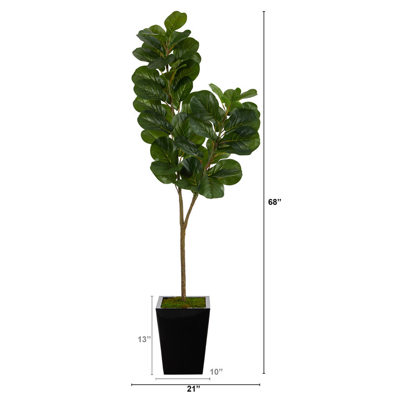Figuier artificiel en pot, Noir, H 68 po x l 21 po x P 16 po