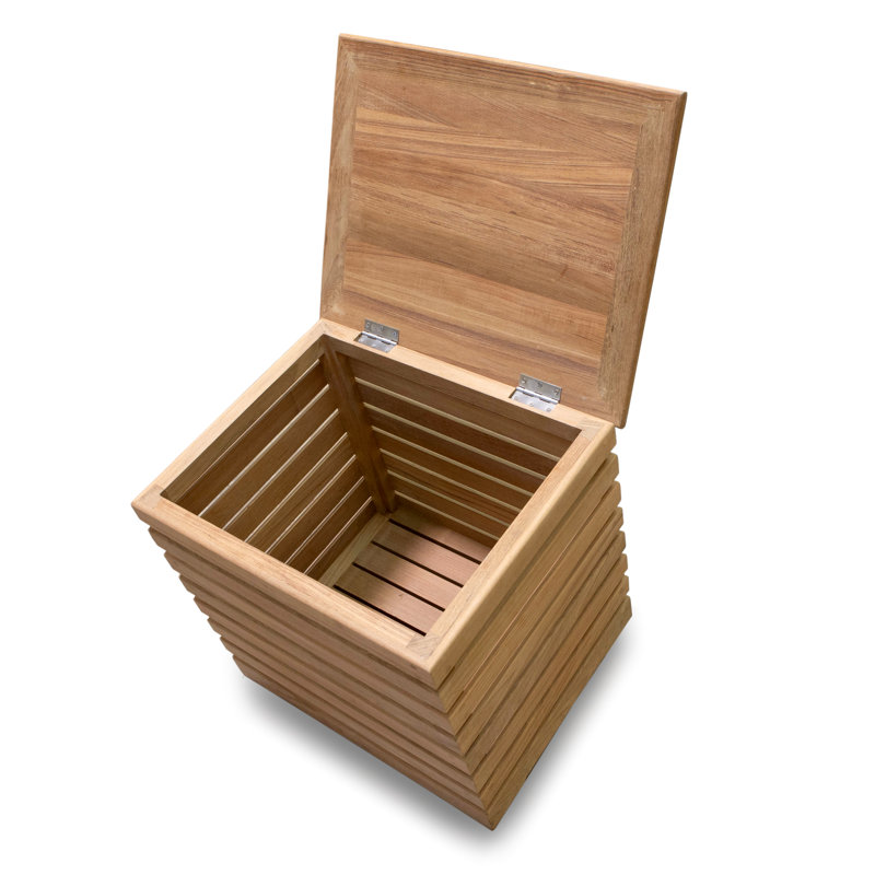 Sasha Solid Wood Accent Trunk