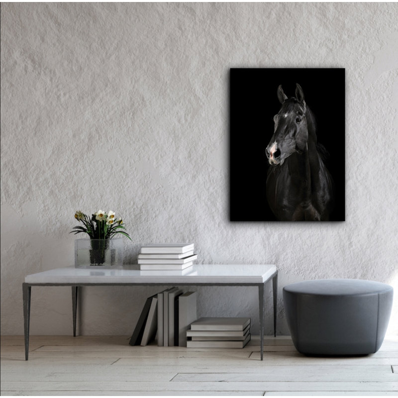 “Black Horse Face” Wrapped Canvas Photograph Print, 30" H x 40" W x 1" D