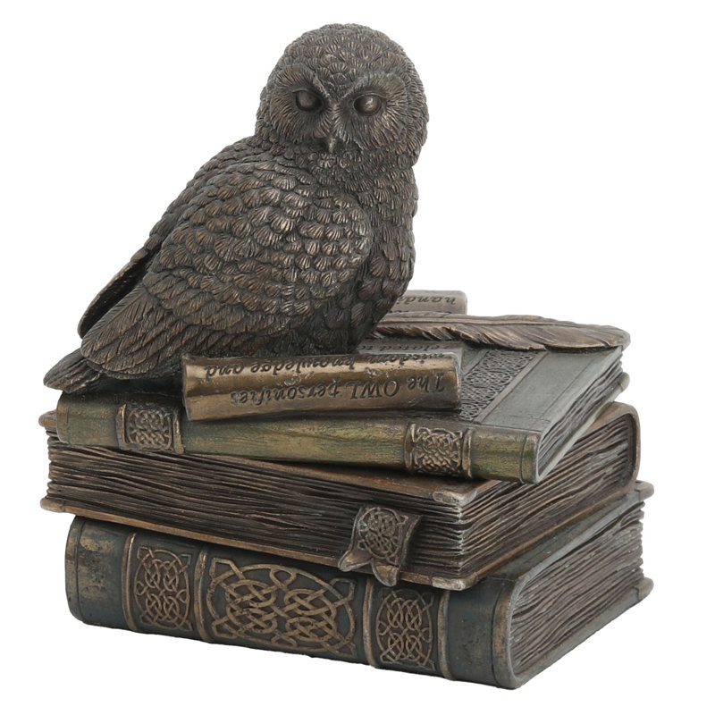 Coffret 4,72 pouces H Bronze Snow Owl On