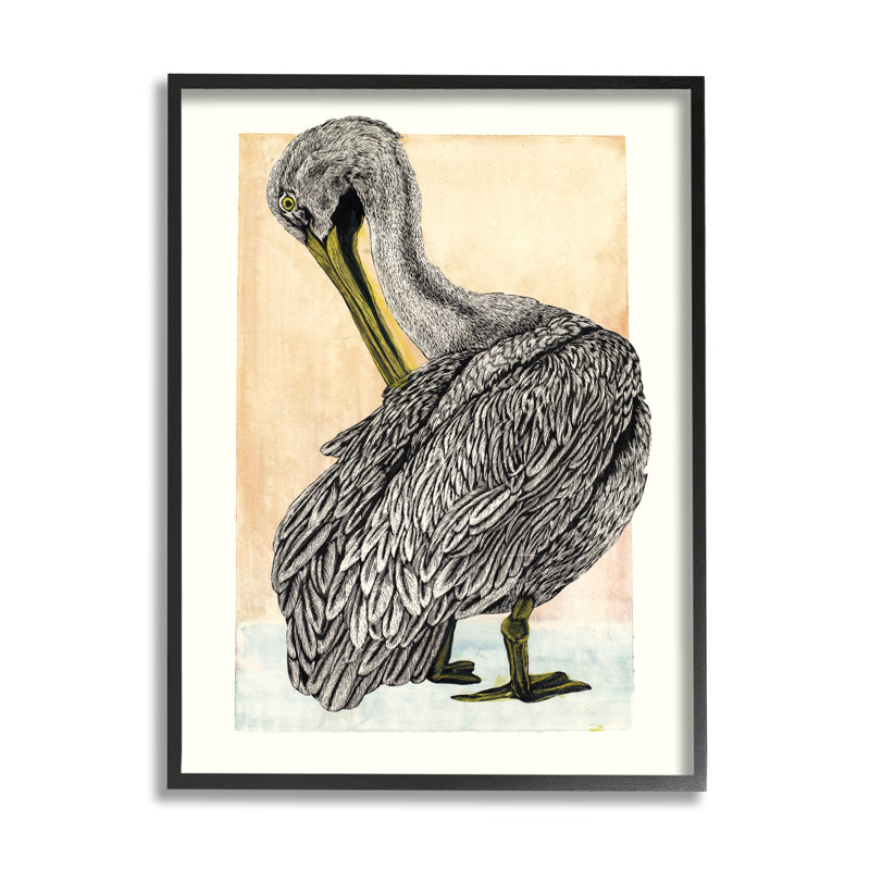 Dessin détaillé de pélican par Liz Sunridge, Giclée encadrée noir minuit, H 14 po x l 11 po x P 1,5 po