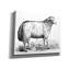 «Ewe» par Art Licensing Studio, art mural sur toile-447881805