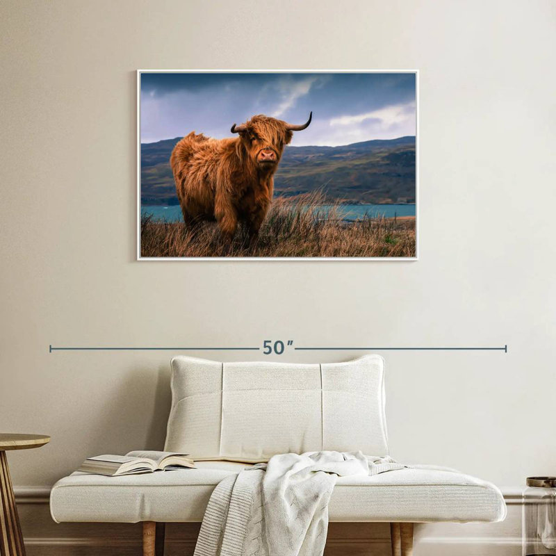 Grande vache Highland, Cadre flottant blanc, 37 po x 25 po