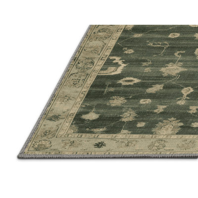 Machine Washable Overdyed Brown Area Rug