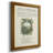 " Printed Embellished Bookplate V "-1179302751
