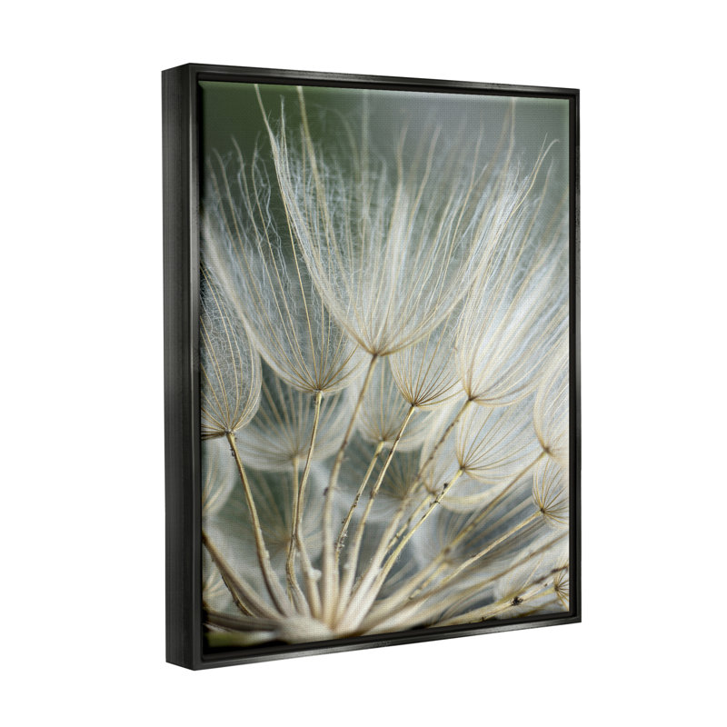 Photographie de pissenlit doux, Cadre flottant noir de jais, H 21 po x l 17 po x P 1,7 po
