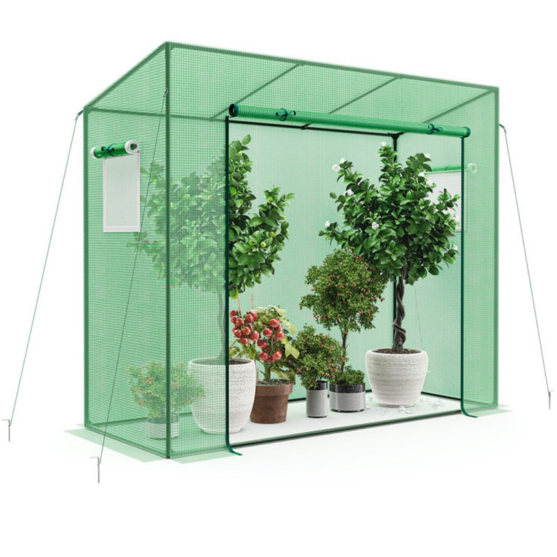 Outdoor Portable Walk-In Greenhouse With PE Cover Heavy-Duty Metal Frame Roll-Up Zipper Door