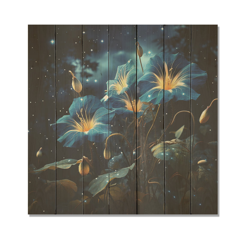 Starry Night Morning Glory Flower I - Morning Glory sur impression sur bois, H 30 po x l 30 po