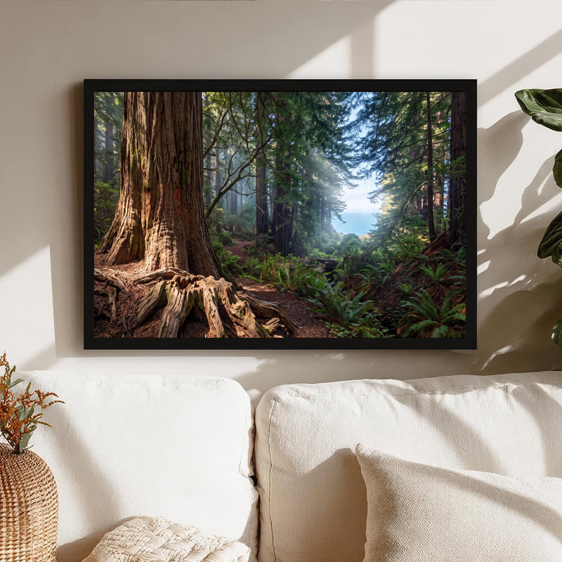 Toile géante, troncs d'arbres et fougères menant à la vue sur l'océan, 16"H x 24"W