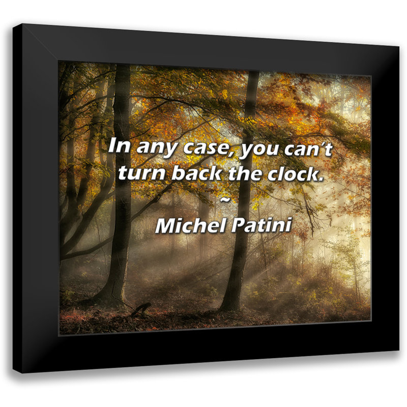 Michel Patini Quote: In any case, you can’t turn back the clock.