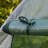  2m x 2m Polytunnel