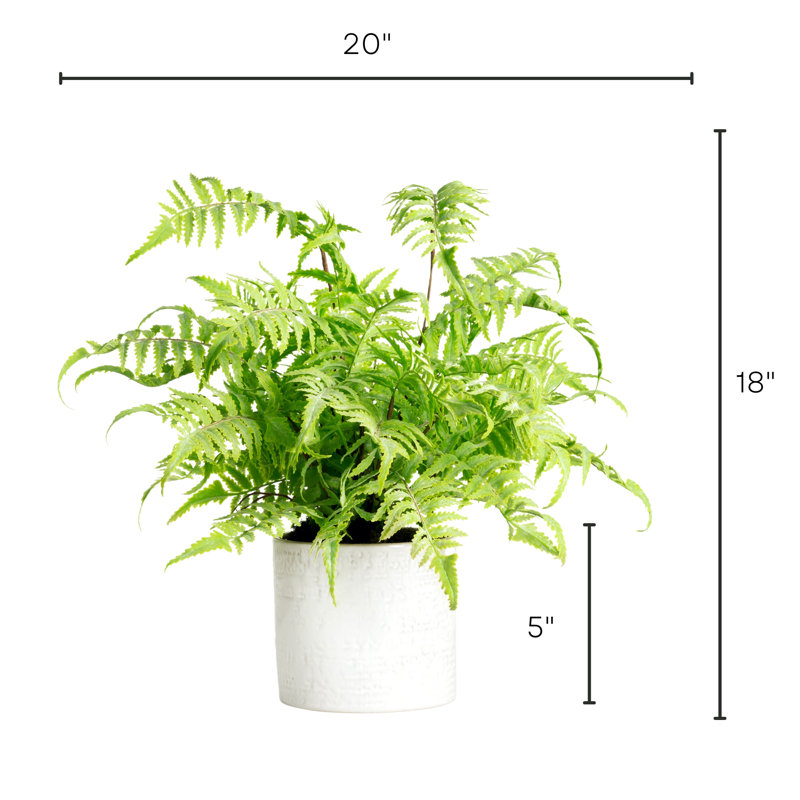 Faux Fern Plant in Ceramic Planter