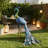 Divesh Rust Resistant Metal Garden Statue