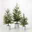 Spann Faux Pine Tree in Metal Pot