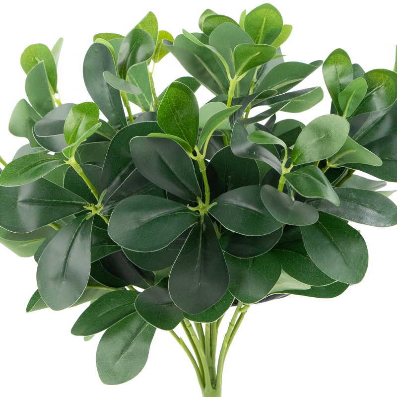 Buisson décoratif 18 po vert deux tons Polyscias
