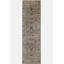 Oriental Area Rug in Gray