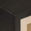Alkistis Solid Wood Accent Cabinet