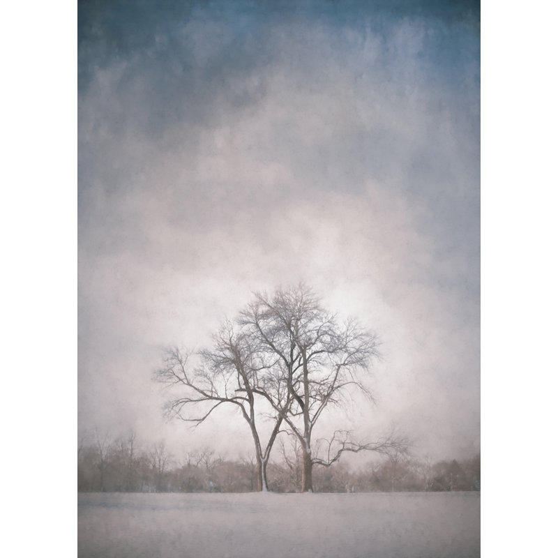 Two Trees Print by Scott Norris