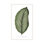 Green Trace 4 Print by Studio L57 Nouvelle