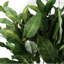 Plastic, Silk Artificial Arrangement