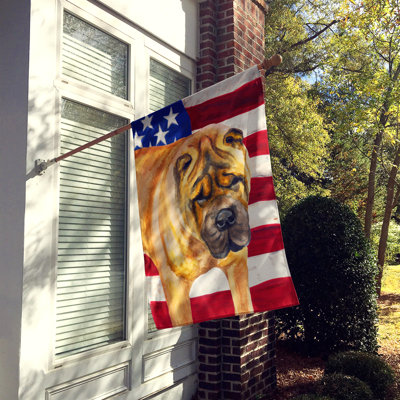 Shahnur Double Sided 40'' H x 28'' W Polyester Independence Day House Flag