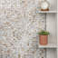Conchella Square Natural 12" x 12" Natural Shell Mosaic Tile