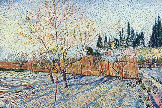 Buyenlarge Orchard By Vincent Van Gogh Print 