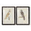 Barn Owl Premium encadré mat - prêt à accrocher-779721502-779721503