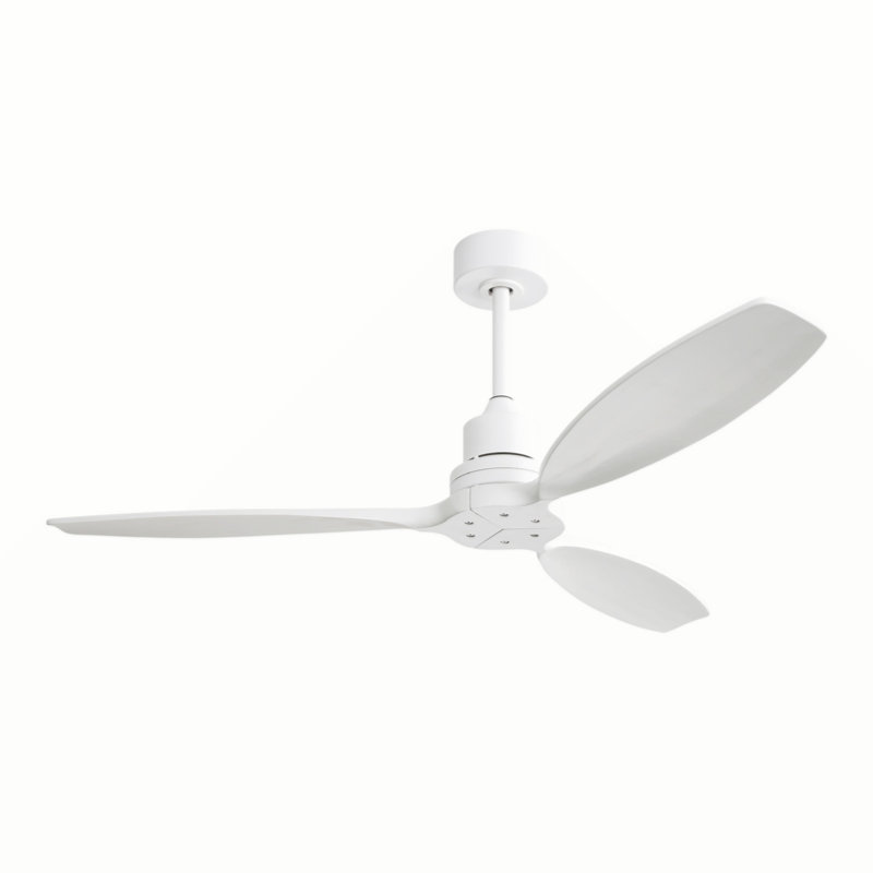 Ventilateur de plafond 52 po Mikheil
