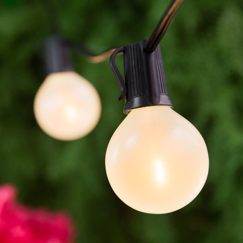 0.8 W G50 E17/Intermediate LED Bulb