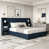 Dark Blue sélectionné