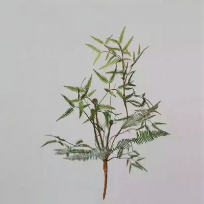 Airy Fern Branch