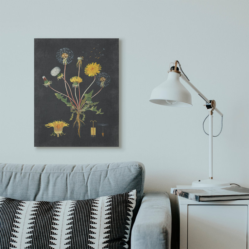 «Botanical Dessin Dandelion On Black Design», impression, Toile tendue, H 30 po x l 24 po