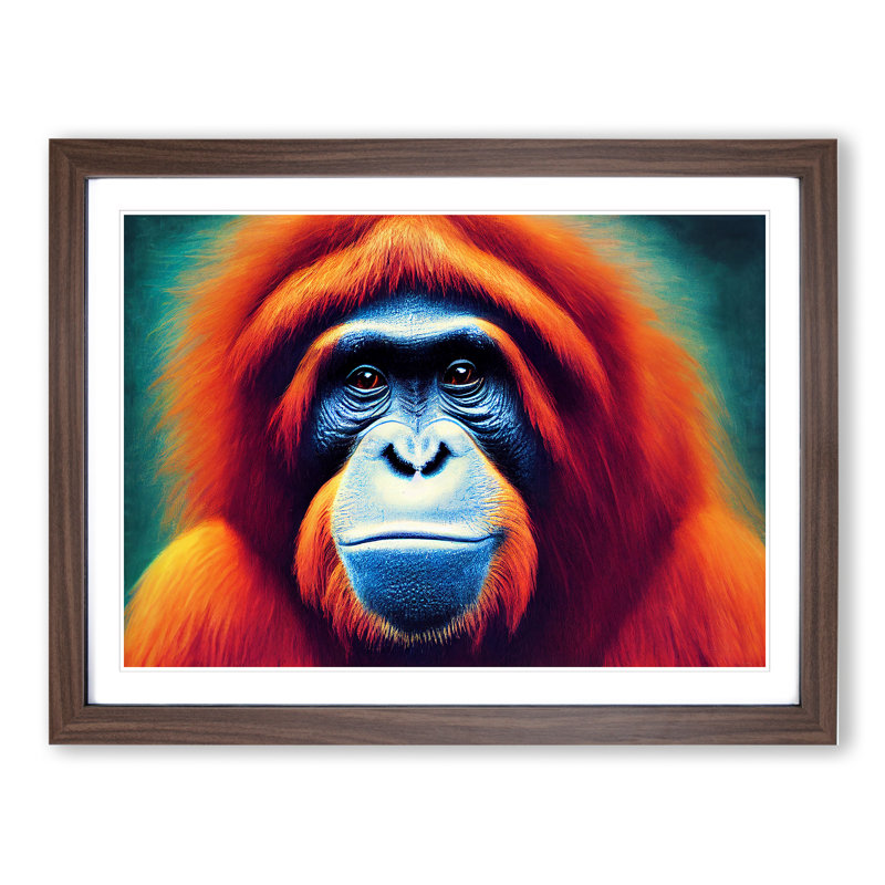 Enchanting Orangutan - Single Picture Frame Print, 25cm H x 34cm W x 2cm D, Walnut Framed