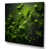 Wrapped Canvas