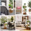 Amila Plant Stand