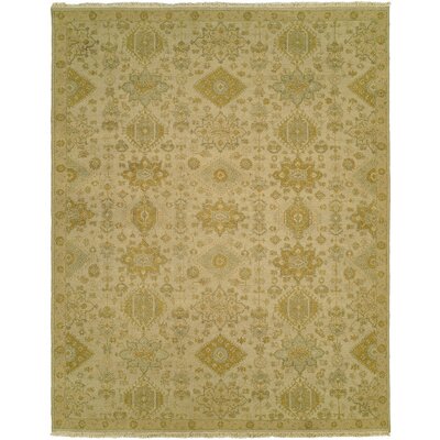 Faiyaz Oriental Handwoven Wool Gold/Beige Area Rug -  Darby Home Co, DRBH4152 45196497