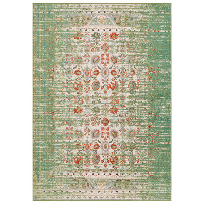 Monaco Performance Oriental Rug