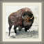 Big Buffalo 1 Print