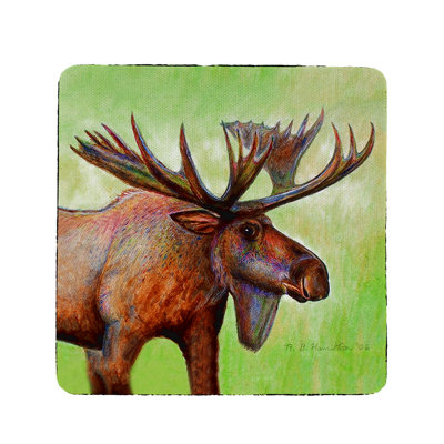 Icarus Square 4 Piece Coaster Set
