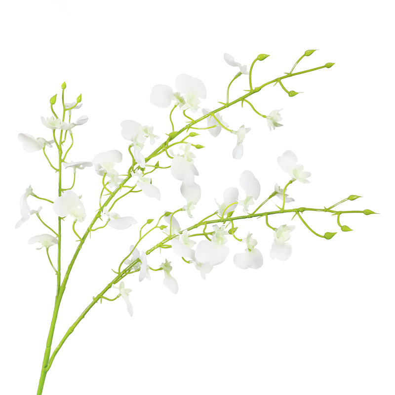 Vaporisateur d'orchidées dansantes, Blanc crème
