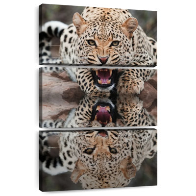 Brampt Leopard Growling Reflection