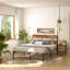 Ensemble de chambre avec lit plateforme 3 pièces Alicia-88411107-88411108