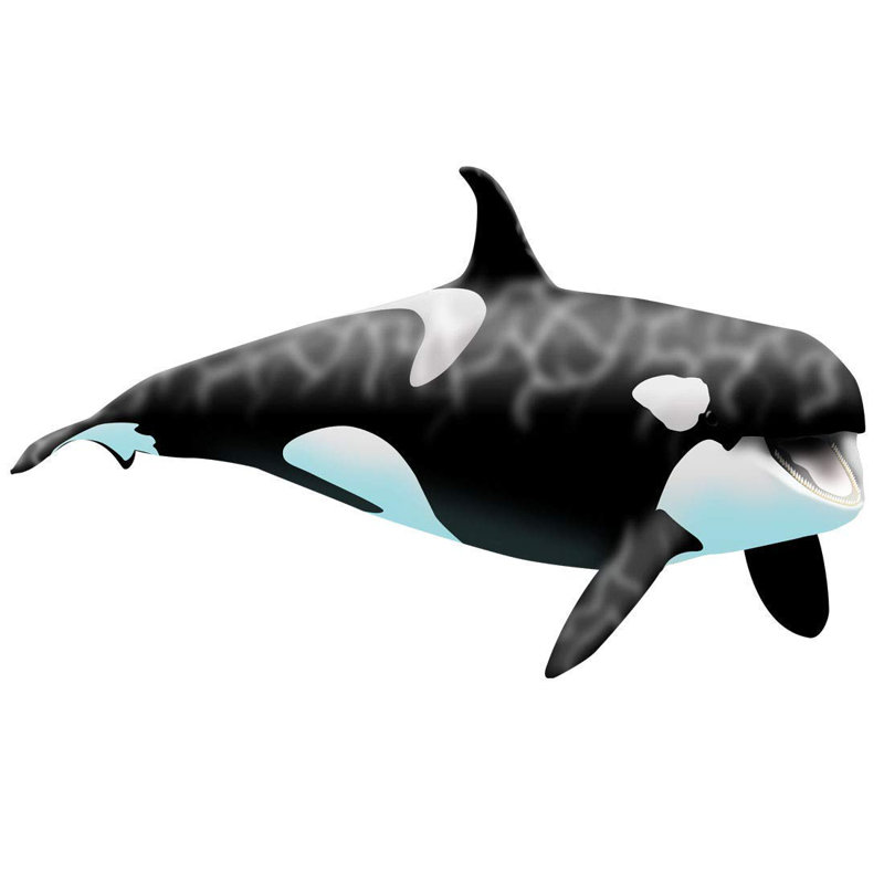 Autocollant mural pour la baleine de la baleine et du bâton géant orca, H 30 po x l 50 po