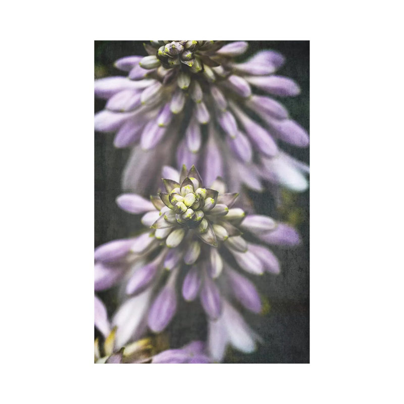 Lavender Flowers by Olivia Joy StClaire - Wrapped Canvas Gallery-Wrapped Canvas Giclée, 66.04 cm H x 45.72 cm W x 1.91 cm D