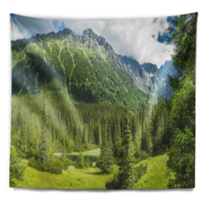 Polyester Tapestry
