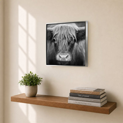 Nez de vache BW