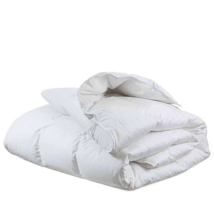 American Bedding 800in³/oz Fill Power Winter Goose Down Comforter | Wayfair