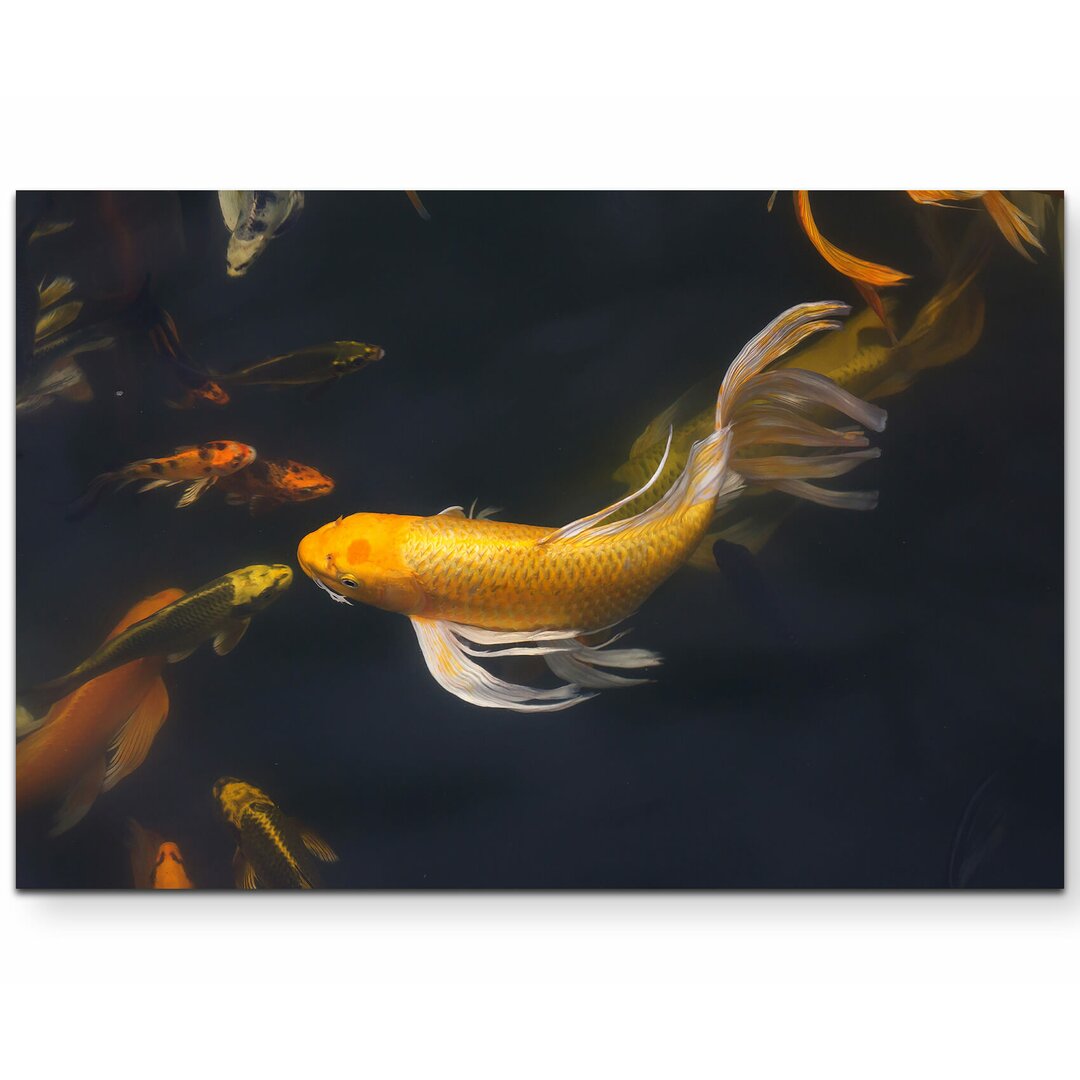 Leinwandbild Schwimmende Koi