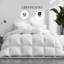Édredon en duvet d'oie blanche hongrois de luxe 850-130132954